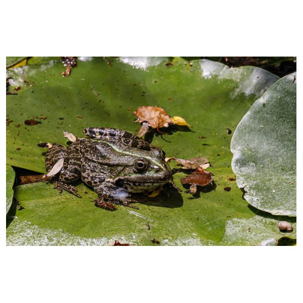 PHOTO84, CLUB, 84 , LUBERON